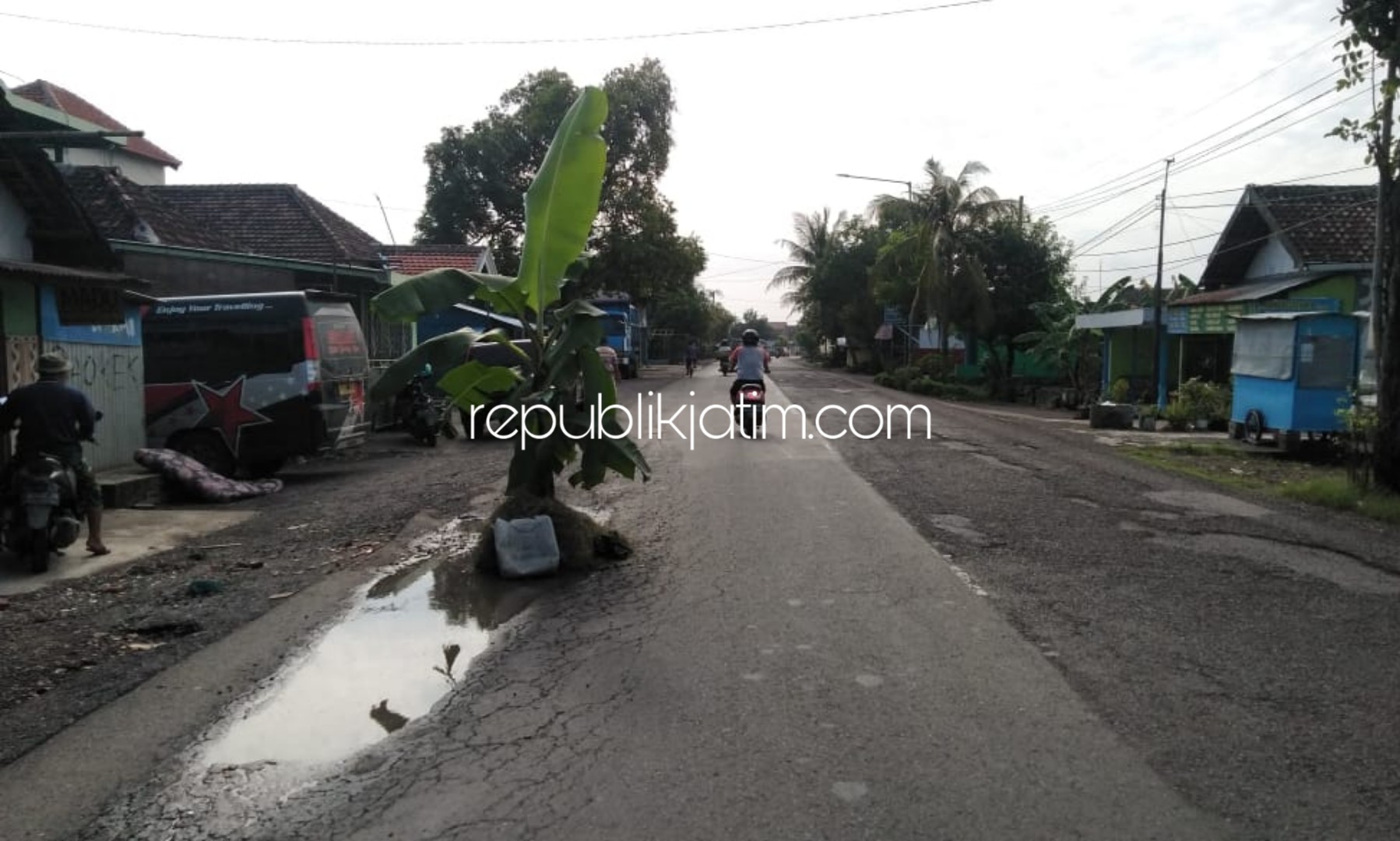 TANAMI PISANG - Lambannya perbaikan jalan rusak Porong menuju Krembung di Desa Lajuk, Kecamatan Sidoarjo mendorong warga menanami jalan utama itu dengan pohon pisang agar tak membahayakan pengguna jalan, Minggu (01/03/2020).