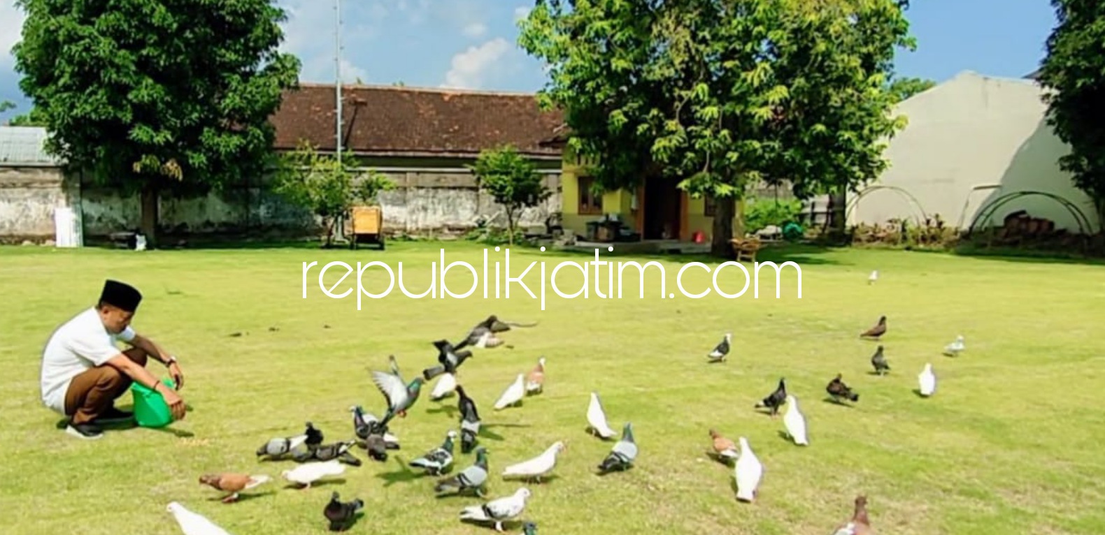 MERPATI - Bupati Ponorogo, Sugiri Sancoko nemiliki 500 merpati di pelataran belakang Pringgitan, Sabtu (17/04/2021).
