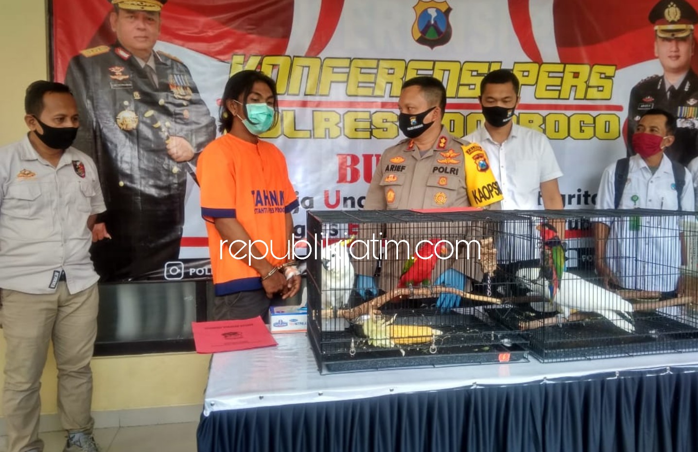 SATWA LANGKA - Kapolres Ponorogo AKBP Arief Fitrianto saat menunjukan barang bukti empat ekor burung yang dijual tersangka Ari Ariyanto (27) warga Madiun yang kemudian langsung dibawa ke BKSDA Madiun, Rabu (29/04/2020).