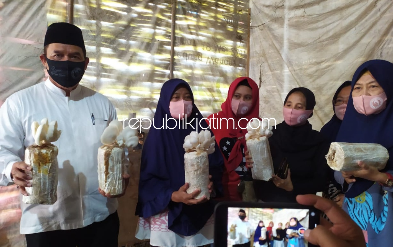 KAMPUNG JAMUR - Bacabup Bambang Haryo Soekartono (BHS) siap kembalikan kejayaan Kampung Jamur Dusun Binangun, Desa Wadungasih, Kecamatan Buduran, Sidoarjo dengan memberi bantuan bibit jamur, water spray dan spanduk Kampung Jamur, Kamis (16/07/2020).