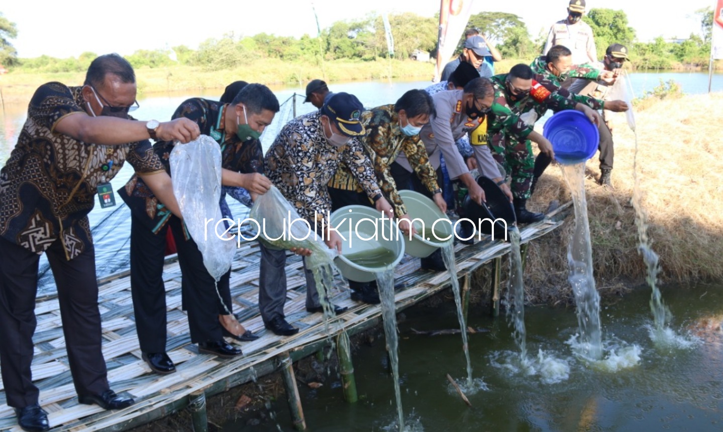 TABUR - Plt Bupati Sidoarjo, Nur Ahmad Syaifuddin bersama Forkopimda Sidoarjo menabur 5.000 benih dan panen bandeng di Desa Tambakoso, Kecamatan Waru, Sidoarjo, Jumat (17/07/2020) sore.