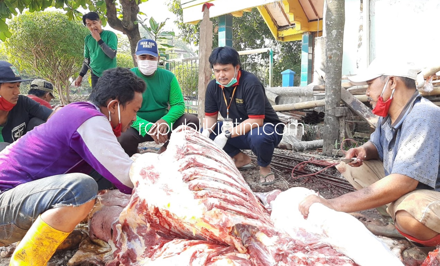 KURBAN - Petugas Dinas Pangan Dan Pertanian perwakilan Kecamatan Balongbendo Yudo Wibisono didamping drh Bagus Pandu Satria Utomo saat di Masjid Baiturridwan mengecek kondisi organ hati sapi dan kambing, Sabtu (01/08/2020).