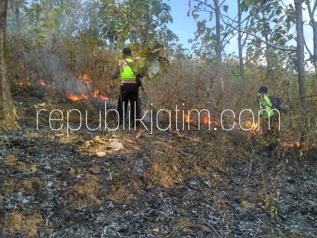 TERBAKAR - Petugas gabungan sibuk memadamkan api yang membakar lahan hutan jati di petak 93 wilayah RPH Tulung, BKPH Sumoroto, KPH Madiun, Kamis (09/08/2018).