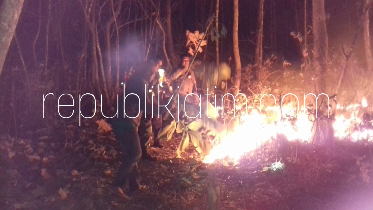PEMADAMAN - Sejumlah petugas gabungan memadamkan api yang membakar hutan jati Dusun Dungus, Desa Karangpatihan, Kecamatan Pulung, Ponorogo yang masuk wilayah petak 65 RPH Gunting, BKPH Bondrang Sawoo, KPH Madiun, Kamis (09/08/2018) malam.