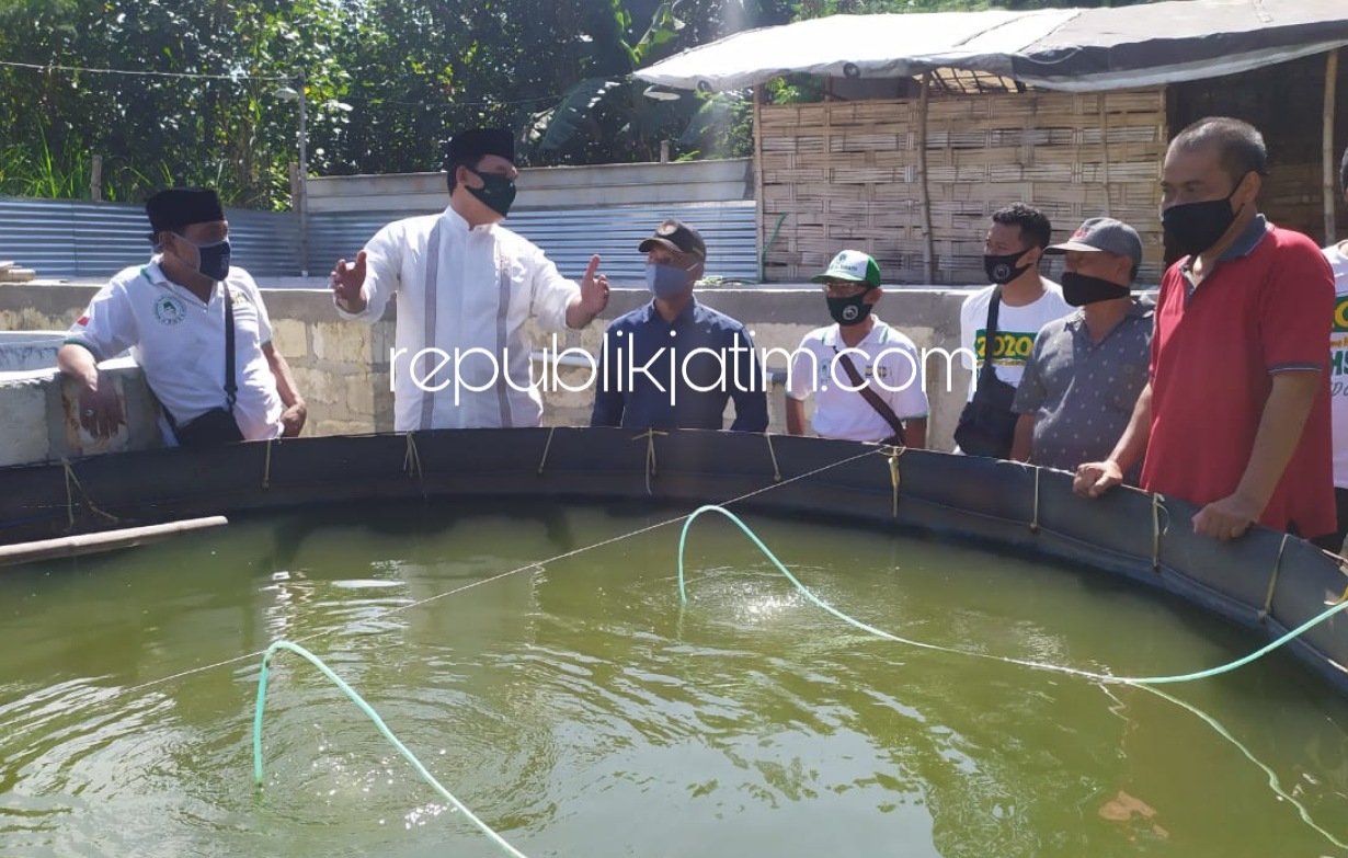 BUDIDAYA - Bacabup Sidoarjo, Bambang Haryo Soekartono (BHS) berdialog dengan pemilik budidaya ikan air tawar, Bambang Suhermanto di kolam yang ada di Desa Pertapan Maduretno, Kecamatan Taman, Sidoarjo, Rabu (19/08/2020).