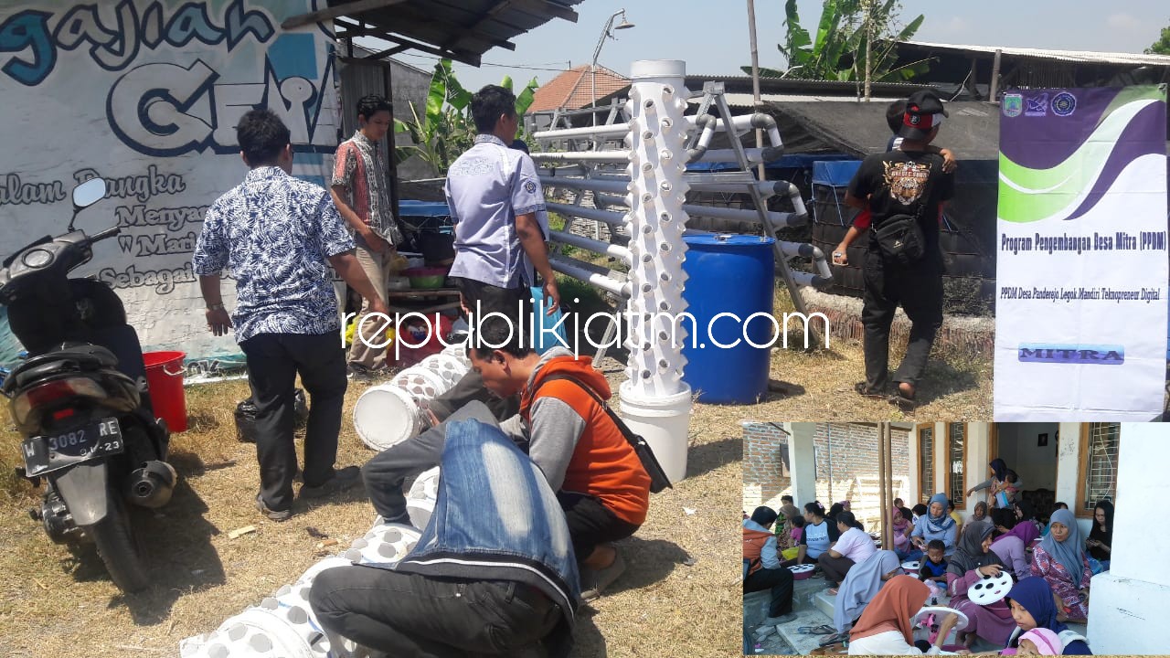 HIDROPONIK - Para dosen dan mahasiswa Teknik Informatika, Umsida mengenalkan sistem tanam hidroponik kepada para anggota PKK dan Karang Taruna Dusun Panderejo, Desa Legok, Kecamatan Gempol, Kabupaten Pasuruan, Minggu (19/08/2018).