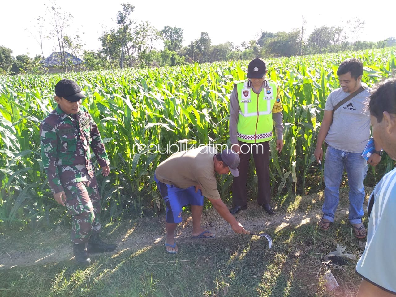 OLAH TKP - Sejumlah petugas Polsek Sampung menggelar olah TKP tewasnya Meseri (65) warga Dusun Medang, Desa/Kecamatan Sampung, Ponorogo di area persawahan setempat, Kamis (05/09/2019).