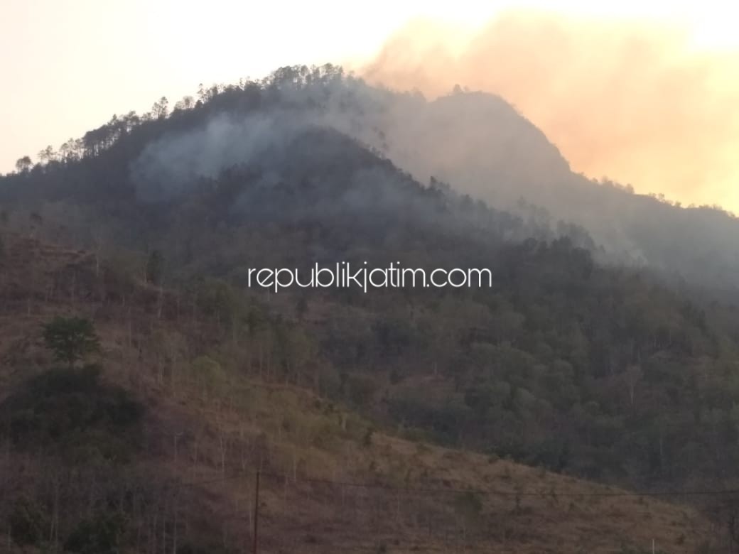TERBAKAR - Hutan Gunung Gedhe Desa Bekare dan Desa Koripan Kecamatan Bungkal serta Desa Menggare Kecamatan Slahung, Ponorogo ludes terbakar, Sabtu (14/09/2019) petang.