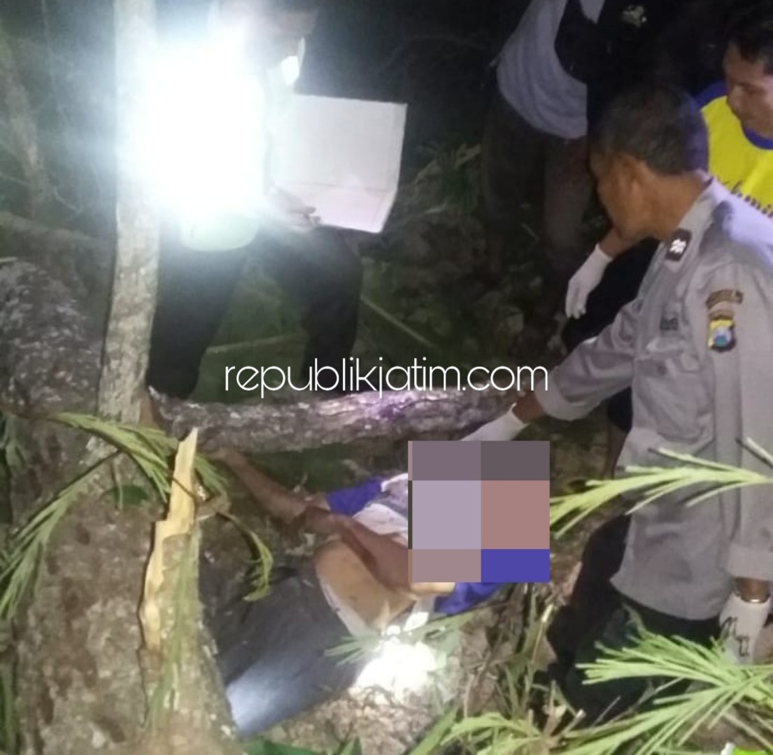 TEWAS - Jaiman (65) warga Dusun Ngembel, Desa Baosanlor, Kecamatan Ngrayun, Ponorogo yang tewas tertimpa pohon pinus di hutan, Sabtu (13/10/2018) malam.