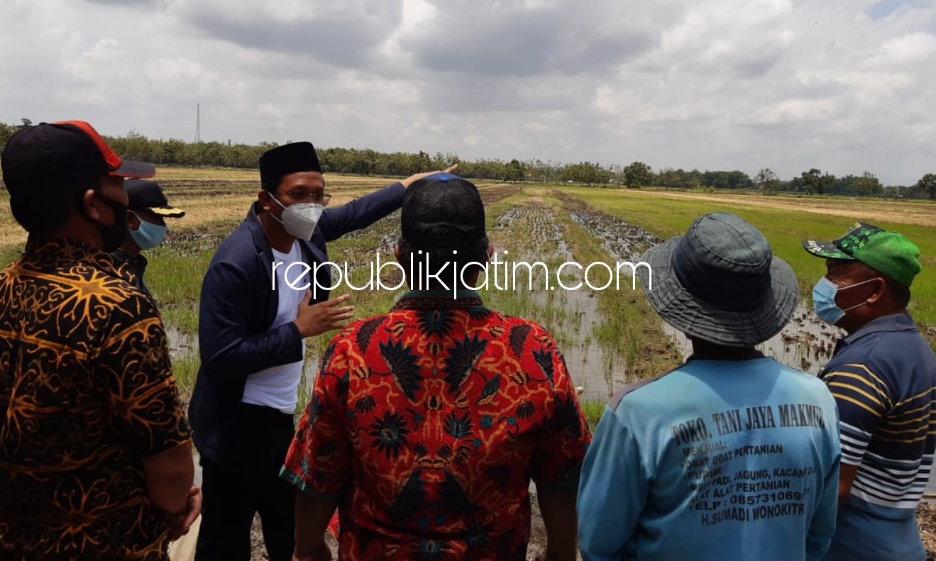 DIALOG - Cabup Sidoarjo, Ahmad Muhdlor Ali (Gus Muhdlor) berdialog dengan para petani Desa Wonokarang, Kecamatan Balongbendo, Sidoarjo, Selasa (20/10/2020).