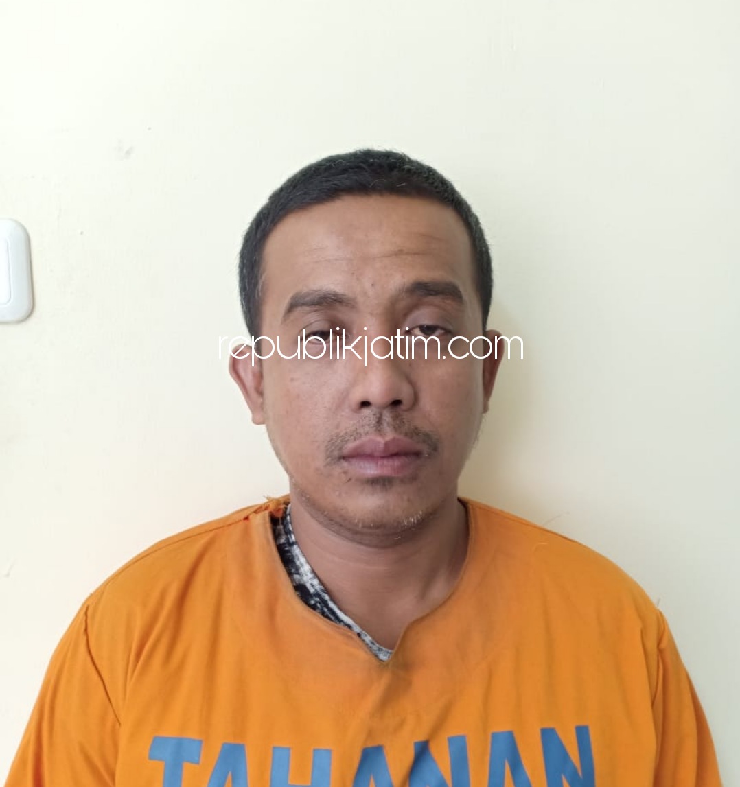 KURIR - Tersangka pengedar ganja Leonardi Silvester Diaz (35) warga Kelurahan Kalijaten, Kecamatan Taman ditangkap di halaman gudang JNE di kawasan Lingkar Timur Sidoarjo beserta barang bukti ganja yang hendak dikirim ke Bondowoso, Sabtu (24/10/2020).