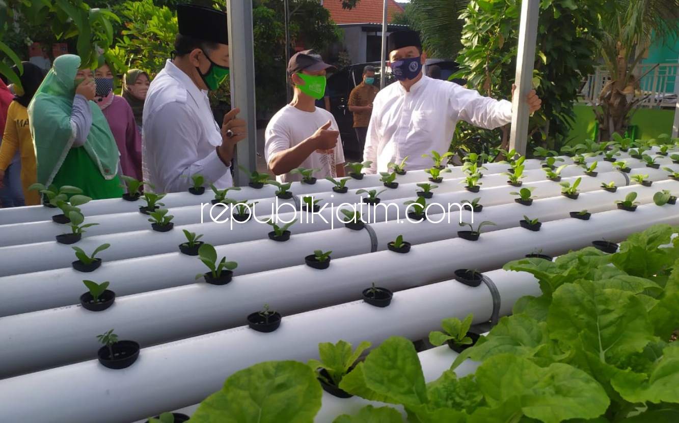 HIDROPONIK - Paslon Bupati dan Wakil Bupati, BHS - Taufiq melihat tanaman sayur hidroponik di Perumahan Graha Pesona, Desa Modong, Kecamatan Tulangan, Sidoarjo yang mampu menghasilkan sayuran sehat, Rabu (28/10/2020) sore.