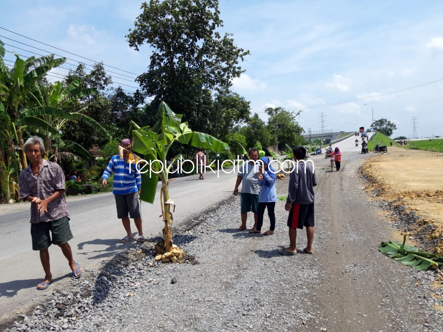 DEMO - Puluhan warga Dusun Sidowayah, Desa Jenggrik, Kecamatan Kedunggalar, Ngawi menanami pohon pisang jalan antar kecamatan lantaran 2 bulan terakhir tak kunjung diselesaikan PT Waskita Karya, Jumat (07/12/2018).