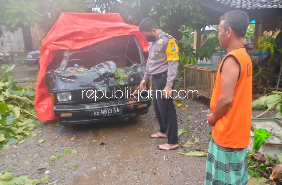 TUMBANG - Sebuah mobil dan empat rumah warga di Desa Coper, Kecamatan Jetis, Ponorogo rusak tertimpa pohon tumbang yang diterjang angin, Sabtu (15/01/2022) sore.