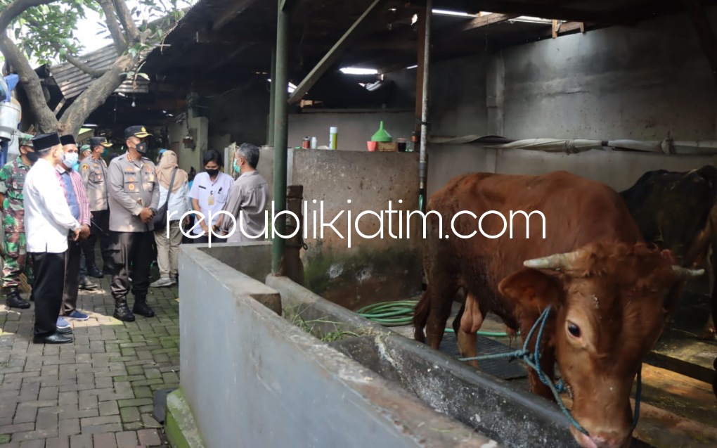CEK - Dalam mencegah wabah Penyakit Mulut dan Kuku (PMK) sapi di Sidoarjo, Kapolresta Sidoarjo Kombes Pol Kusumo Wahyu Bintoro, TNI-Polri, Dinas Pangan dan Pertanian bersama stakeholder mendatangi peternak sapi Desa Kedungturi, Taman, Jumat (13/05/2022).