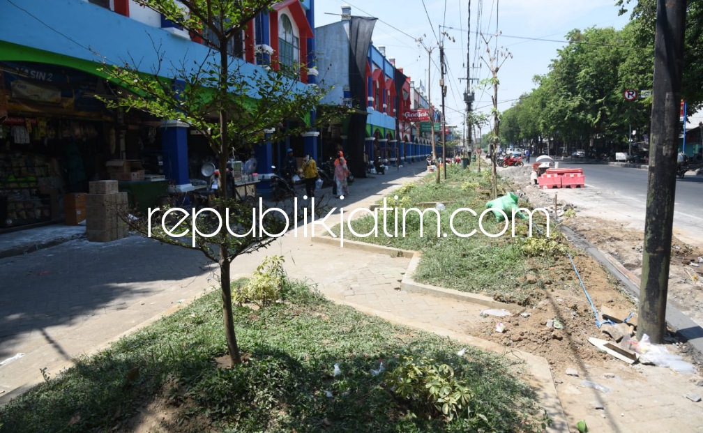 TAMAN - Pagar di depan Pasar Larangan, Kecamatan Candi, Sidoarjo dibongkar total dari utara sampai selatan dan ditata ulang dengan diberi taman bunga, Kamis (09/11/2023).