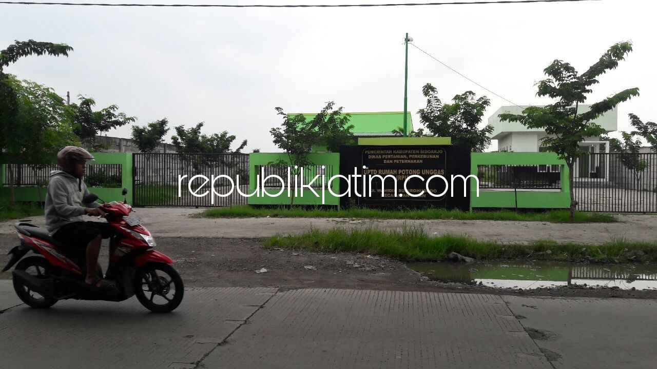 RPH MODERN - Dinas Pertanian, Perkebunan dan Peternakan (DP3) Pemkab Sidoarjo bakal membangun Rumah Potong Hewan (RPH) modern disamping RPH lama di Krian untuk memasok daging premium, Senin (01/01/2018).